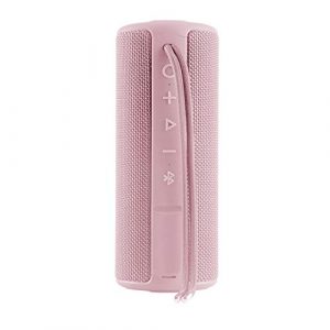 Vieta Pro Goody – Altavoz inalámbrico (True Wireless Bluetooth, Radio FM, Reproductor USB, auxiliar, micrófono integrado, resistencia al agua IPX6, batería de 12 horas) rosa