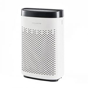Rowenta Pure Air Essential PU2530 purificador de aire con prefiltro, filtro de carbón activo y filtro de partículas finas, 3 velocidades, modo Silencio, indicador de cambio de filtro y temporizador