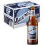 Blue Moon, Cerveza Artesanal de Estilo Belgian White – 24 Botellas de 330 ml – Total: 7920 ml