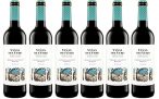 Viñas Del Vero Tinto Cabernet-Merlot – Vino D.O. Somontano – 6 botellas de 750 ml – Total: 4500 ml