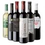Pata Negra – Lote de 6 Botellas con D.O, Pack de 6 x 750 ml