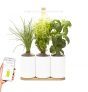 Lilo Connect, el huerto de interior conectado de Prêt à Pousser – Cultiva todo el año con facilidad – Incluye albahaca, menta y cebollino