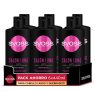 Syoss – Champú Salon Long – 6uds de 440Ml (2.640ml) – Para cabello largo y quebradizo – Cabello sano de raíces a puntas – Cabello como recién salido de la peluquería