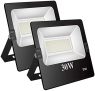 Focos LED exterior 30W Potente Luces Led Exterior IP66, Luz de Seguridad Blanca Cálida 6500K para Terraza, Jardín, Patio, Parque, Garaje [Clase de eficiencia energética A++] 2 piezas