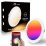 Downlight Led Techo Inteligente Ultrafina 12W 960LM, Lumary LED Empotrable Techo con Caja de Conexiones Controlada por APP, Foco Empotrable LED Funciona con Alexa, Google Home(12W-1PCS
