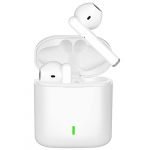 Auriculares Inalámbricos Bluetooth 5.0, Seguridad estéreo 3D Auriculares Bluetooth Deportivos IPX5 Impermeable, In-Ear Cascos Bluetooth Inalámbricos con Microfono Dual y Caja de Carga