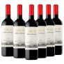 Bach Viña Extrísima – Vino Tinto – Pack 6 botellas 75cl
