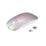 Zienstar Ratón Inalámbrico LED Recargable,Clic Silencioso,2,4G con Receptor USB y USB C 2 en 1 (Plata)